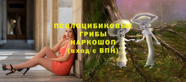 СК Балахна