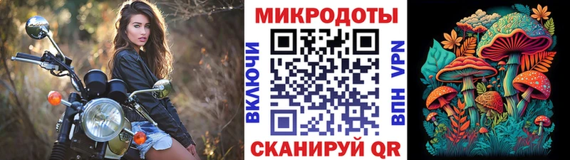 Галлюциногенные грибы мухоморы  как найти закладки  Салаир 